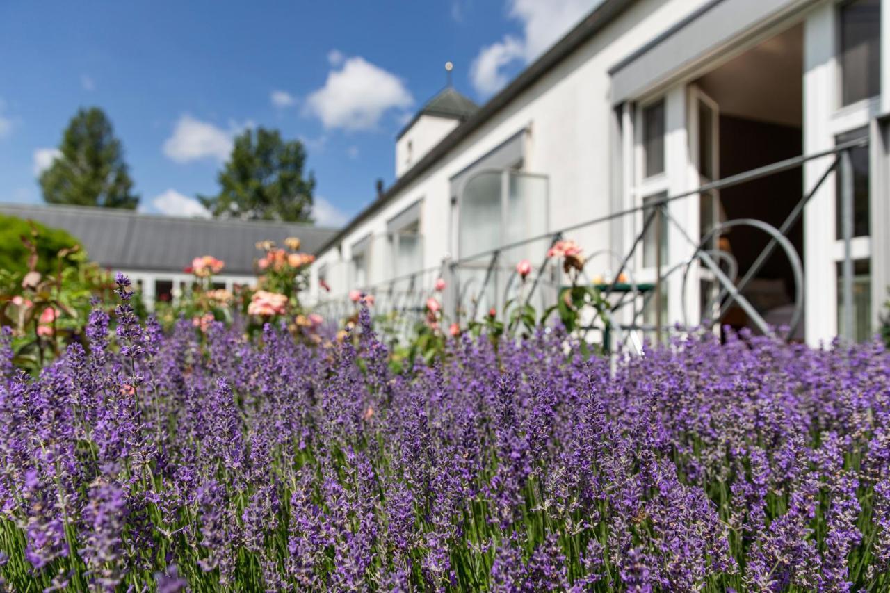 See & Park Hotel Feldbach Steckborn Zewnętrze zdjęcie